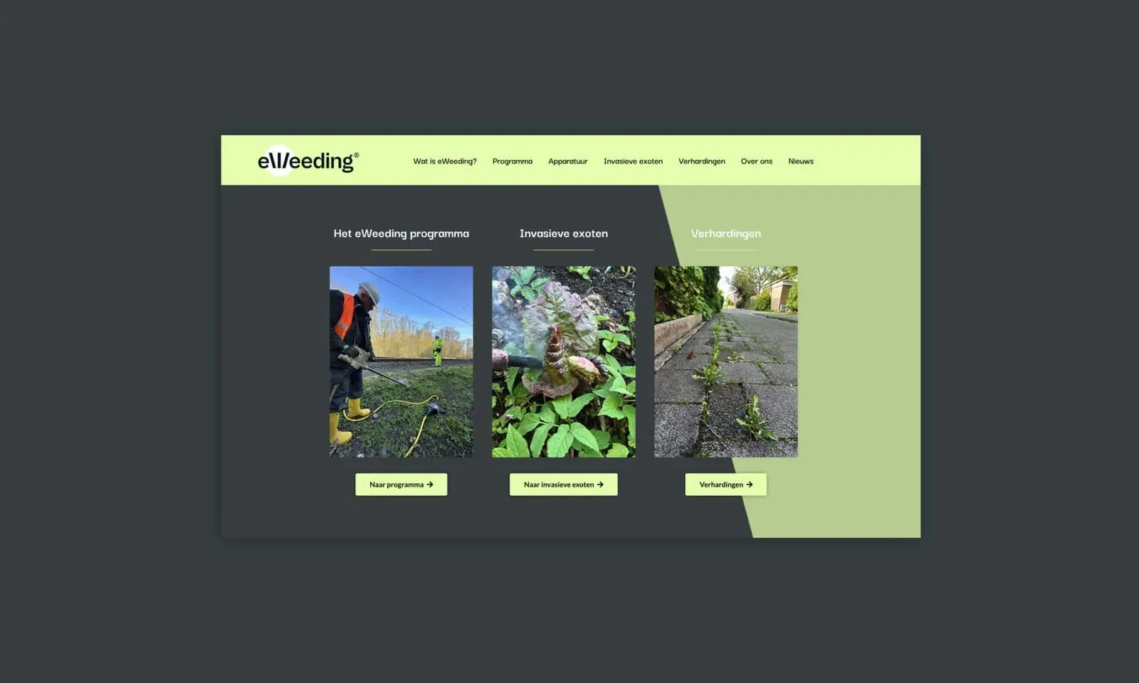 eWeeding — diensten eweeding