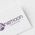 Anemoon mockup